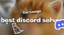 Cat Lounge server banner