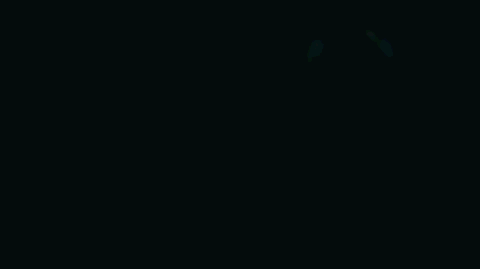 ⛄0,15$! | Snow Apostas #2K banner