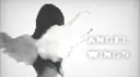 ᨦ༉     ݂   ◞✹𓂂   ۫     𓈒   α𝗻𝗀ᥱᥣׁׅ֪   ᨰׁׅ𝗂𝗻𝗴𝗌      𓏼ིྀ౿    ֺ banner