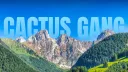 Cactus Gang banner