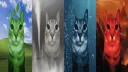 CAPSULECORD server banner