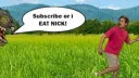 Nick Wilkins Official Discord server banner