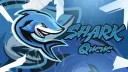 Shark Queue • NA’s #1 Queue banner