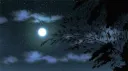 𝓜𝓸𝓸𝓷'𝓼 𝓐𝓷𝓰𝓮𝓵𝓼⋆｡˚ ೀ ༘ ˚ banner