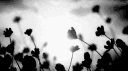 ۶ৎ Limerence .ᐟ banner