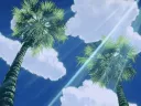 /palms banner