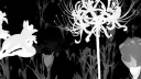 :re .ᐟ Discord server banner