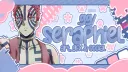 Ი︵𐑼  sera  ‘ s  safe space 𖠌 banner