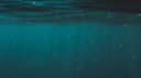 OCEAN | BANGLADESH Discord server banner