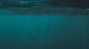OCEAN | BANGLADESH server banner