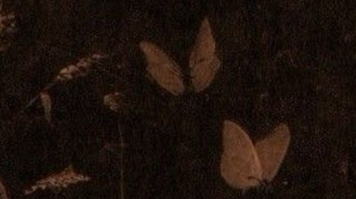 REN 2.0 Discord server banner