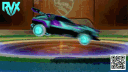 Team RVX banner
