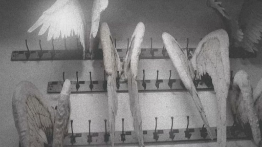 pristine Discord server banner