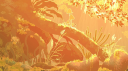 OBFR HANGOUT server banner
