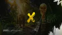 Projeto X banner