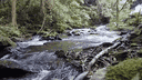 Smoke Creek Roleplay Community | NEW | Realistic banner