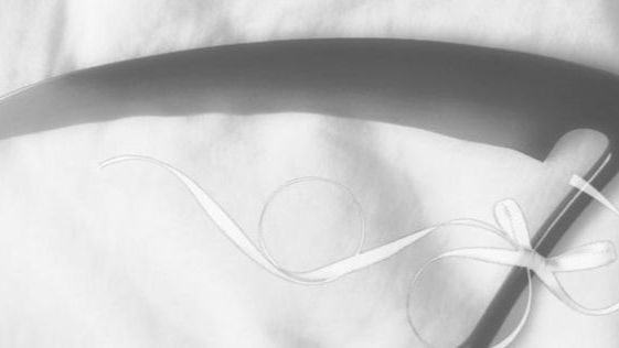 𝐝𝐨𝐥𝐥𝐠𝐫𝐚𝐯𝐞 Discord server banner