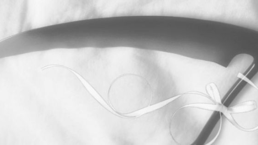 𝐝𝐨𝐥𝐥𝐠𝐫𝐚𝐯𝐞 Discord server banner