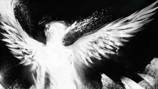 borz's torture chamber Discord server banner