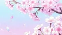 Blossom's Corner ❀₊˚. server banner
