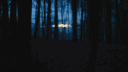 /lovestation banner
