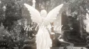 /aetheria server banner