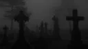 ц слайд мафия banner