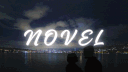 NOVEL |  Dating • Social & Chill banner