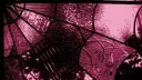 𑣲  Persephone's garden  ⋆ ˚ ✿  ˖ server banner