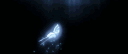Lumora banner
