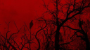 /lofe Discord server banner