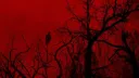 /lofe banner