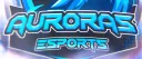 Auroras Championship Series server banner