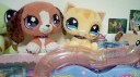 plusheen Discord server banner
