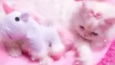 Planya: DLC Discord server banner