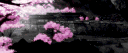 ⁺‧₊˚ ཐི⋆♱.PMK.♱⋆ཋྀ ˚₊‧⁺ banner