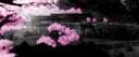 The Thins community 😈💀👿☠ server banner