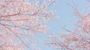 mofu ✧ rebrand soon.. server banner