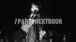 /partynextdoor server banner