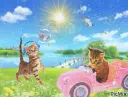 ๐๐ก๐๐จ๐ฌ.๐๐จ๐ฆ ๐.๐๐ฒ๐ฟ* ห Discord server banner