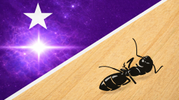 OG GAMBIACORD | PMO TAG server banner