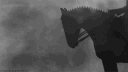 In Community banner