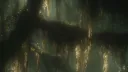 /layla banner