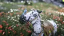 Evergreen Equine banner