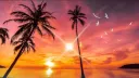 Sun playa 🌅 banner