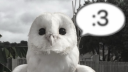 Stoi^Postoi - ka! server banner