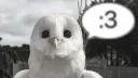 Stoi^Postoi - ka! Discord server banner