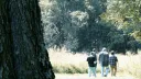 FEED THE HABIT. // rp + social Discord server banner