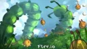 flrr.io banner