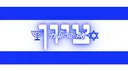 TZION server banner